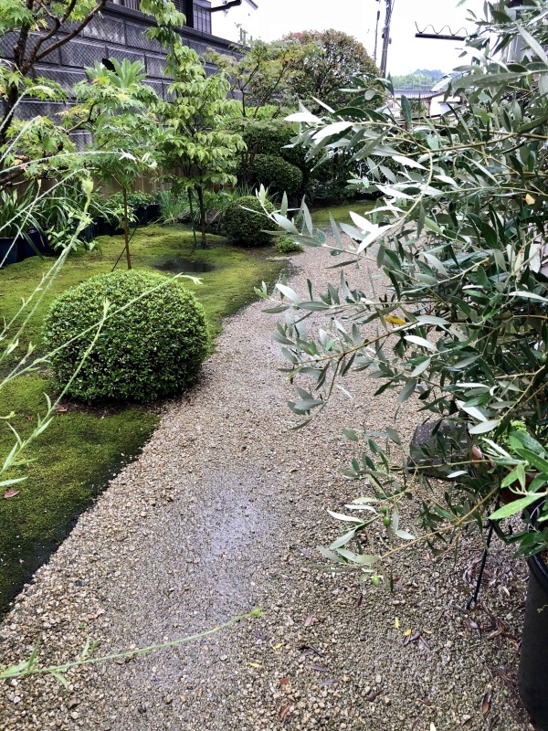 d0282139_11082912.jpeg