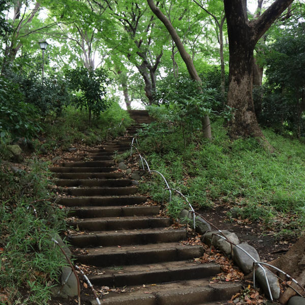上野で登らない山登り #アーバンアルピニスト_c0060143_17184722.jpg