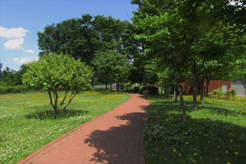 b0220251_19411132.jpg