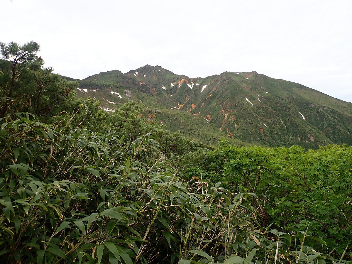 e0352951_17195908.jpg
