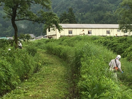 a0346455_08015668.jpeg