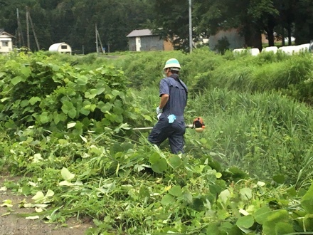 a0346455_08031411.jpeg