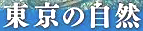 c0119160_20284085.png