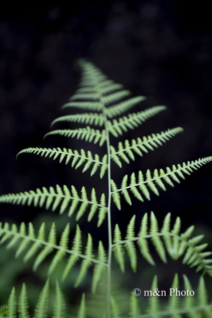 e0321360_02382409.jpg