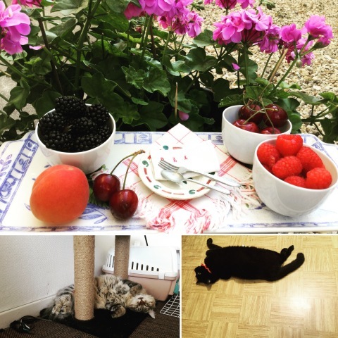 7月7日   暑中お見舞い申し上げます。_c0134071_17123752.jpeg