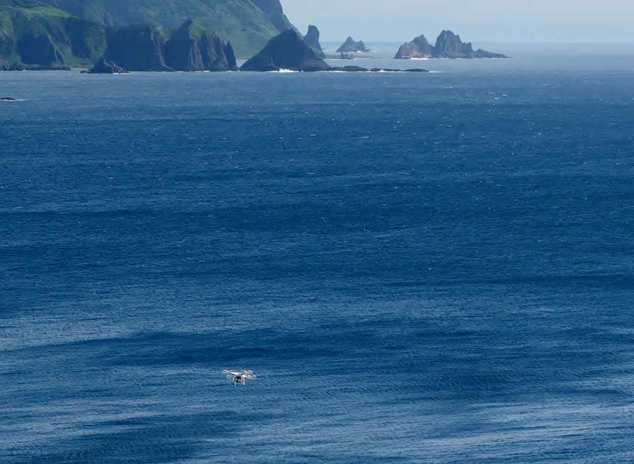 c0183777_14192633.jpg