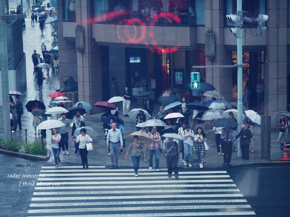 心配な雨_c0311178_16444962.jpg