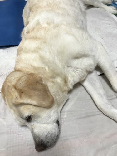 f0315081_20590869.jpeg