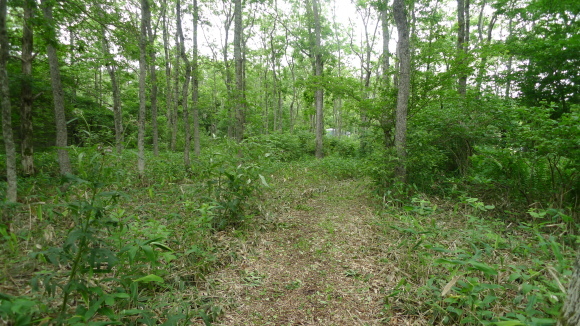 c0212083_18264429.jpg
