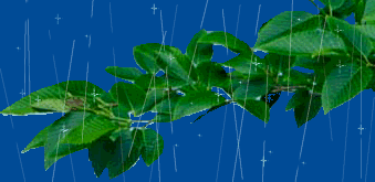 d0174983_10591767.gif