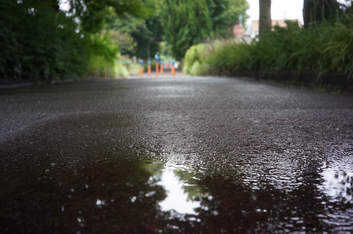 雨上がりの すいどうみち緑道 岳の父ちゃんの Photoblog 雨上がりの すいどうみち緑道 岳の父ちゃんの Photoblog