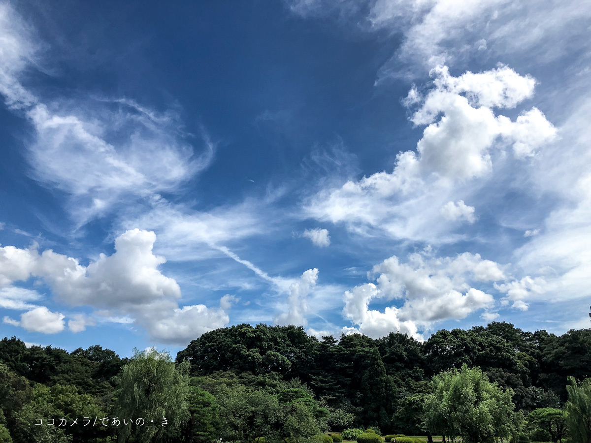 写真日記・新宿御苑の夏雲・2018.7.8_c0336400_21501498.jpg