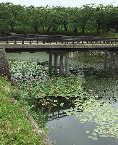 a0337807_14155683.jpg