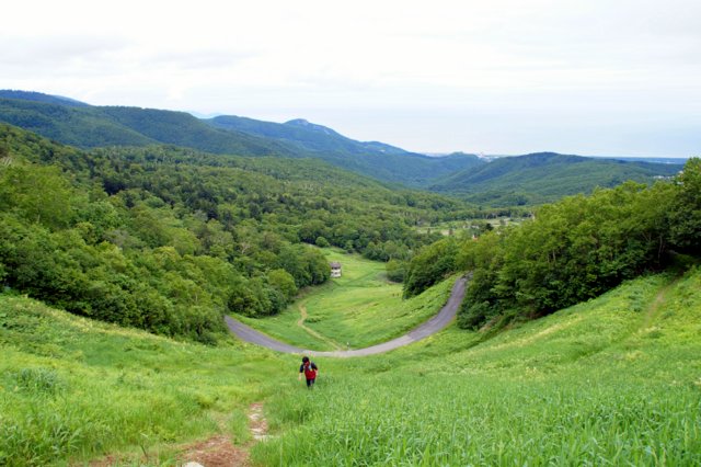 a0345007_930522.jpg