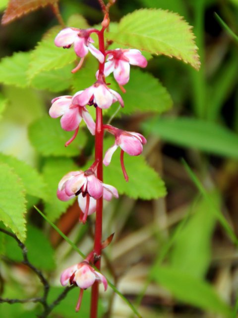 a0345007_93188.jpg