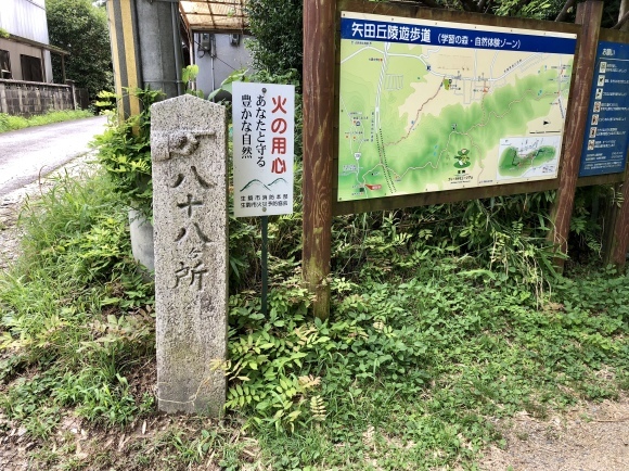 c0388708_19453172.jpeg