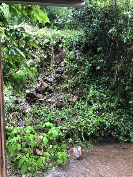 d0237309_21333883.jpeg