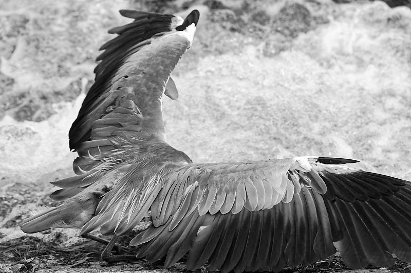 f0032011_17400075.jpg