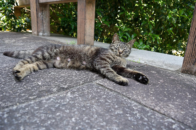 f0032011_20124230.jpg