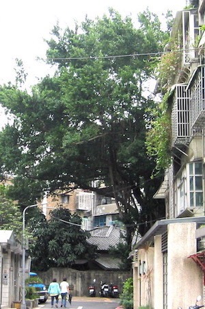 a0019212_18432104.jpeg