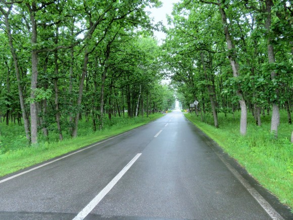 f0032812_11345729.jpg