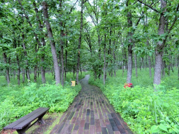 f0032812_11373230.jpg