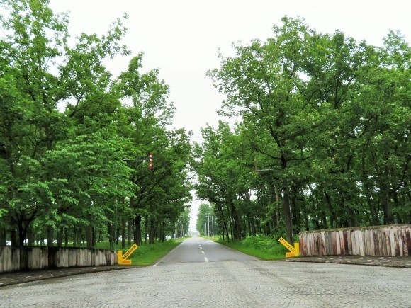 f0032812_11394143.jpg
