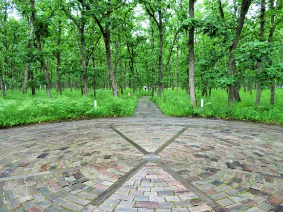 f0032812_11480925.jpg