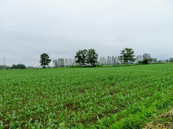 f0032812_12535375.jpg