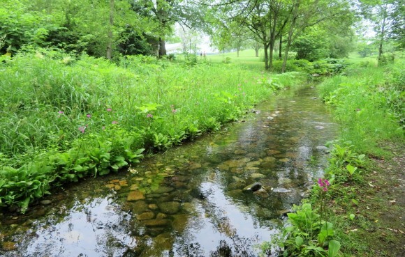 f0032812_13051328.jpg
