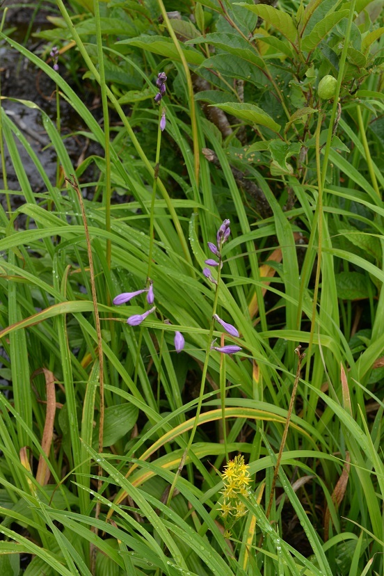 e0349817_21072590.jpg