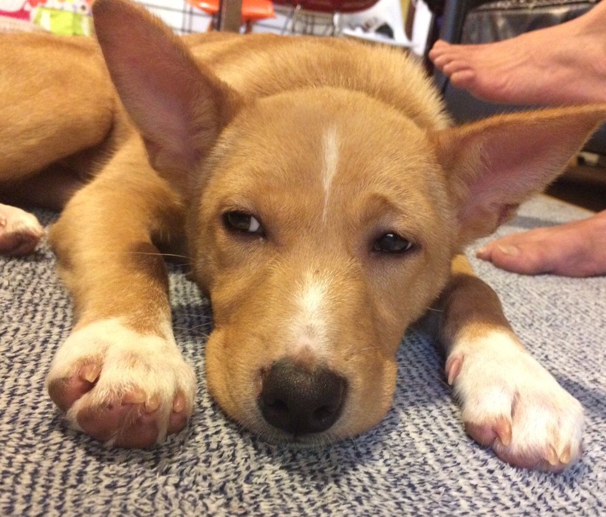 b0207320_15315111.jpeg