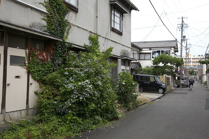 雨が降り出した_b0128621_19535289.jpg