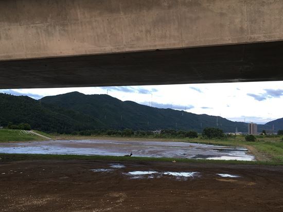 c0114121_23453961.jpg