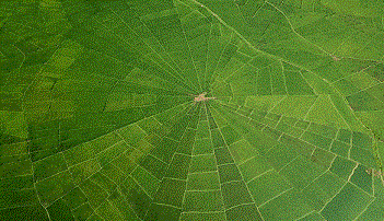 a0054926_23175086.gif