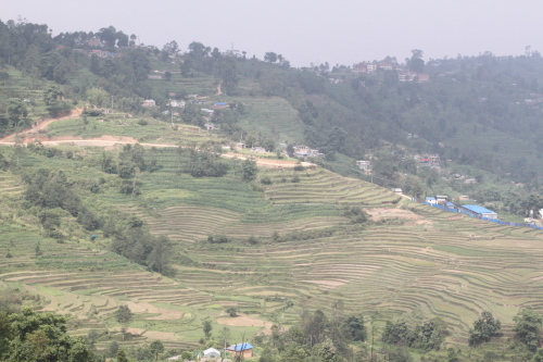 a0163227_22525848.jpg