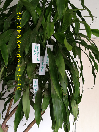 d0042827_00420535.jpg