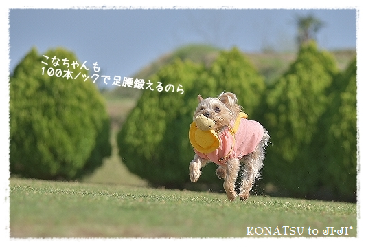 d0179828_09364966.png