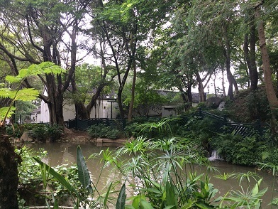 f0371533_17483972.jpg