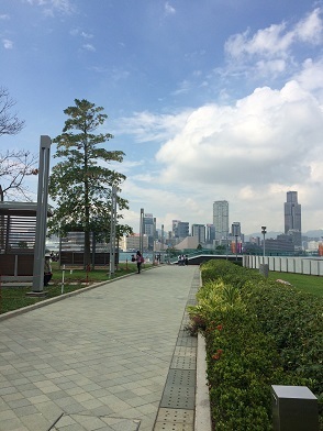 f0371533_20074545.jpg