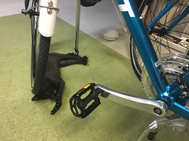 b0060239_15425296.jpeg