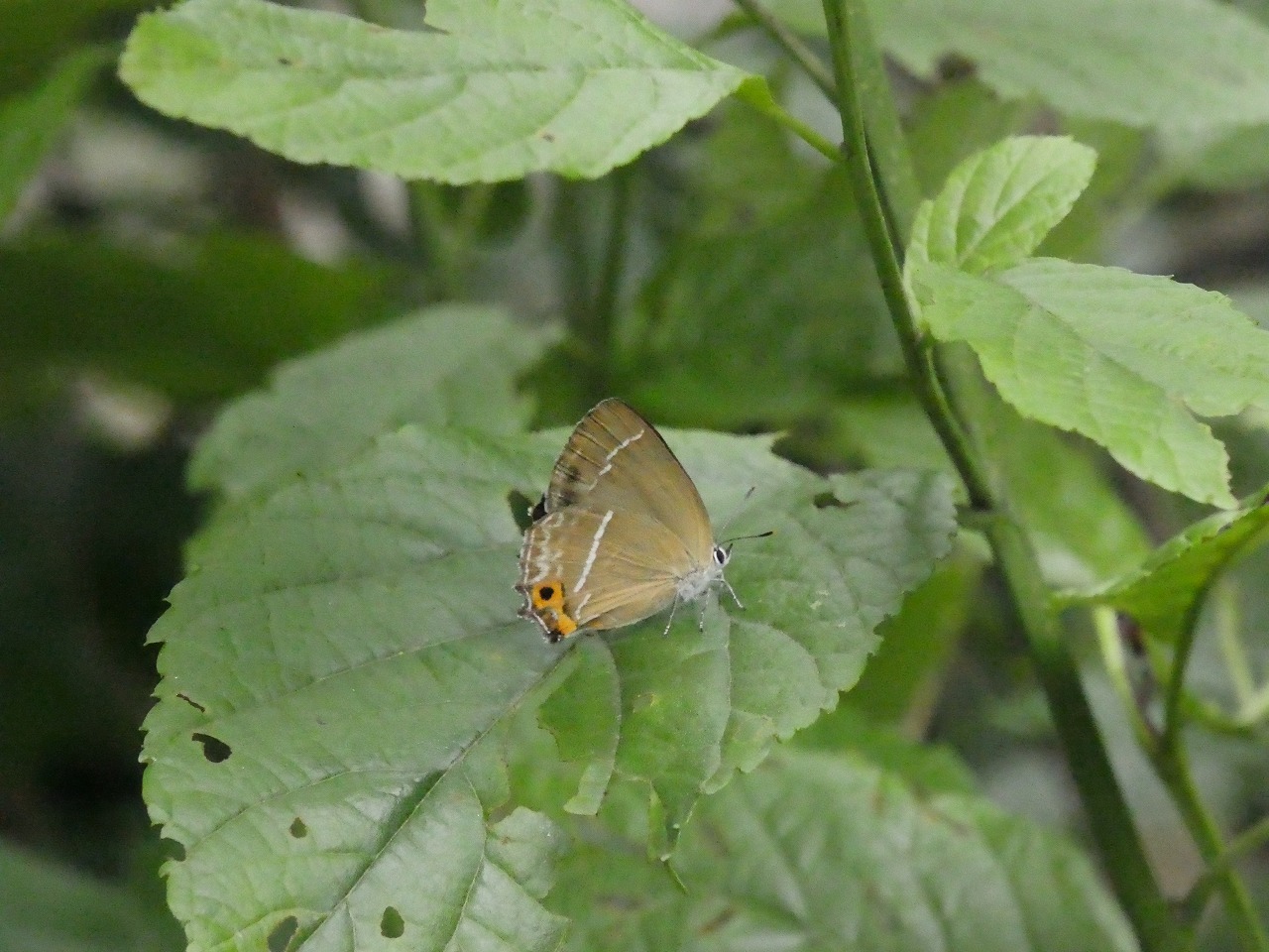d0361041_07161509.jpg