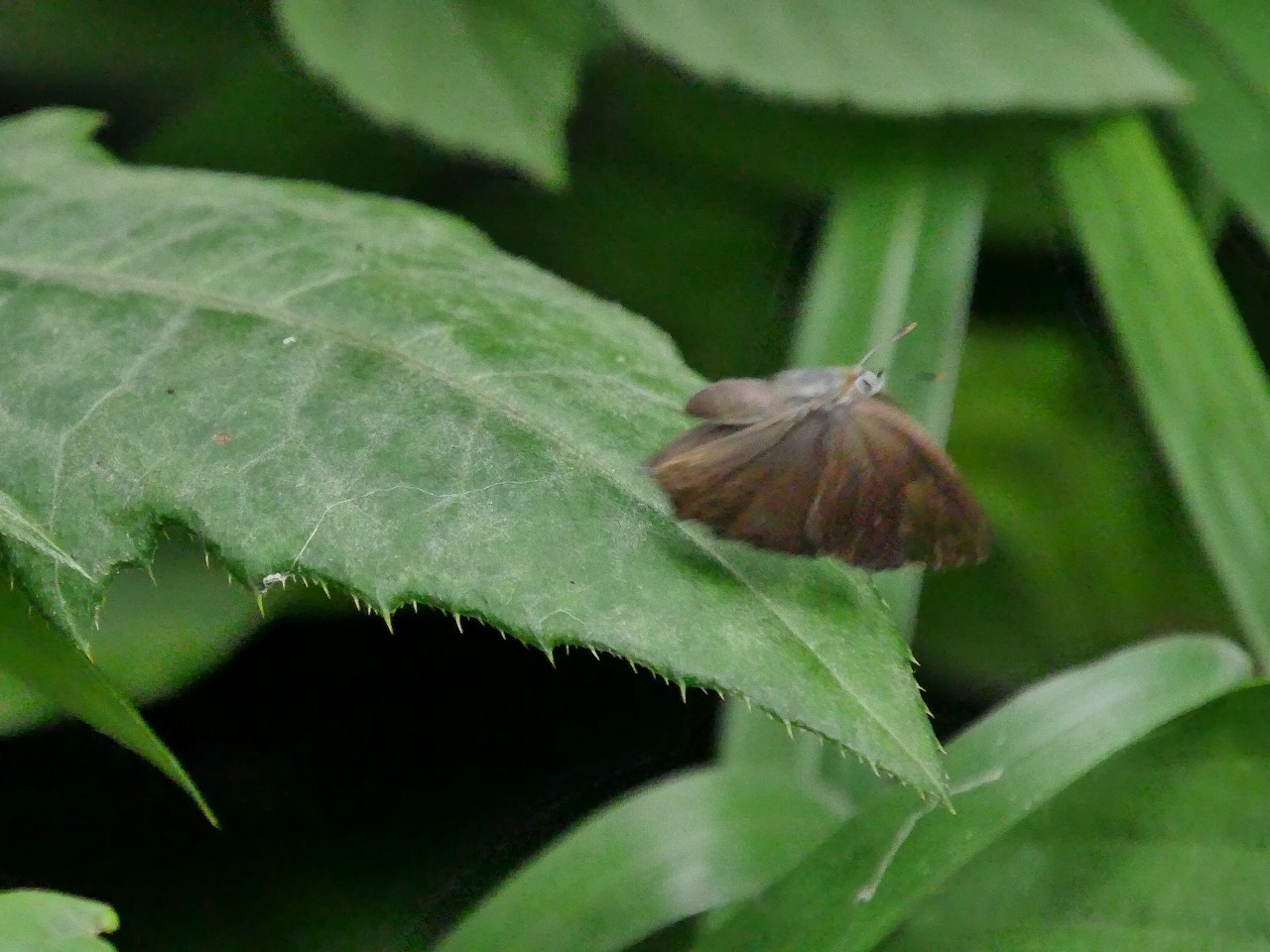 d0361041_07161611.jpg