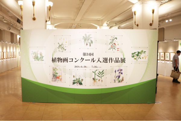 国立科学博物館で植物画コンクール入賞作品を観てきた_c0060143_13203310.jpg
