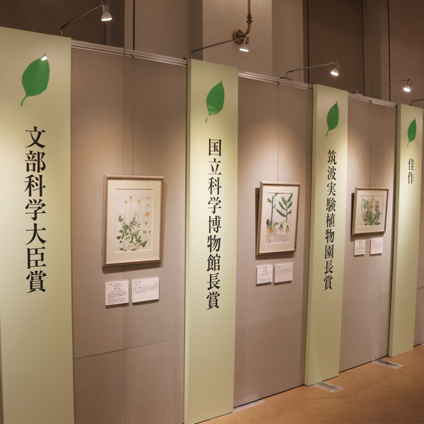 国立科学博物館で植物画コンクール入賞作品を観てきた_c0060143_13203464.jpg