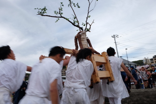 秋谷神明社御祭禮　2018−５榊_f0156448_13043713.jpg