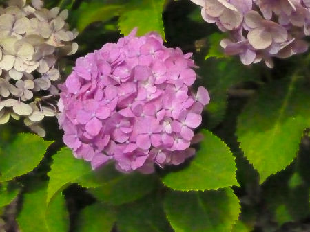 b0002549_20454154.jpg