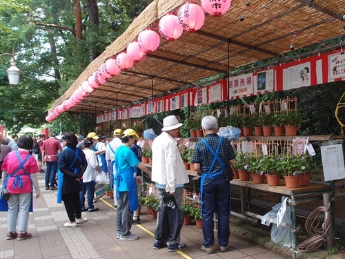国立あさがお市 ふたりで暮らす 国立あさがお市 ふたりで暮らす
