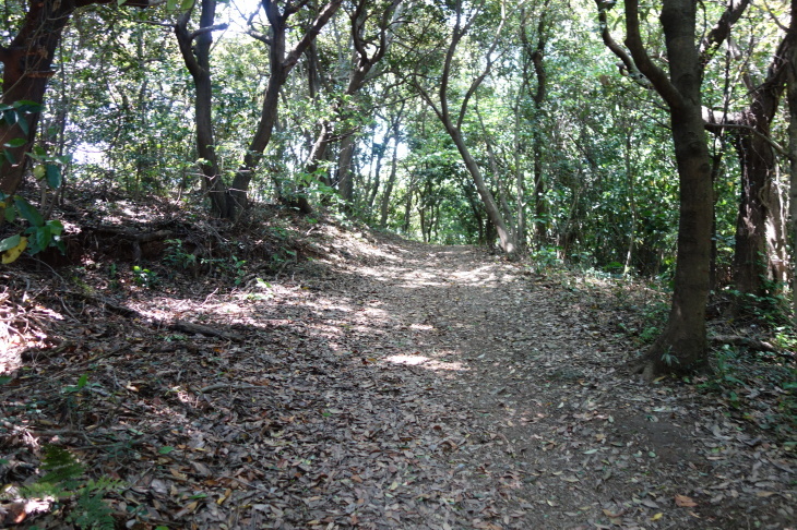 高塔山・石峯山・弥勒山・白山縦走(北九州市若松区)_d0345153_17575272.jpg