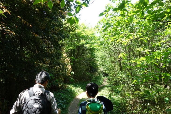 高塔山・石峯山・弥勒山・白山縦走(北九州市若松区)_d0345153_17585886.jpg